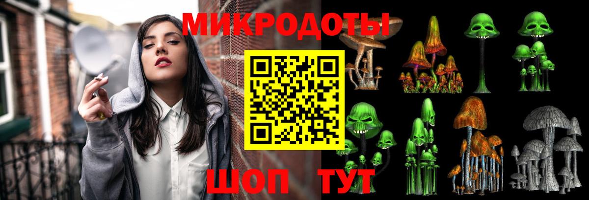 Псилоцибиновые грибы мицелий  купить наркотик  Астрахань  Вход с VPN 