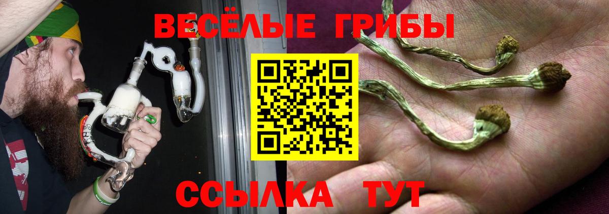 Галлюциногенные грибы MAGIC MUSHROOMS Астрахань
